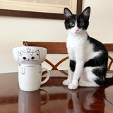 I'm cat person mug set | 4pcs