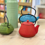 Cast Iron Teapot - Fuji