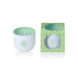 Pastel Candle - Pine & Mint