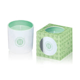 Pastel Candle - Pine & Mint