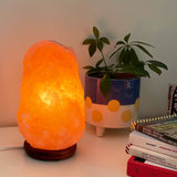 Himalayan Salt Lamp