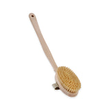 Body brush with removable handle