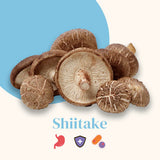 Organic mushroom extracts - Shiitaké in capsules