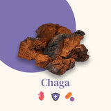Organic Mushroom Extracts - Chaga Capsules