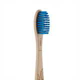 Beech Toothbrush - Hard Bristles