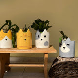 Cat Vase - Birba
