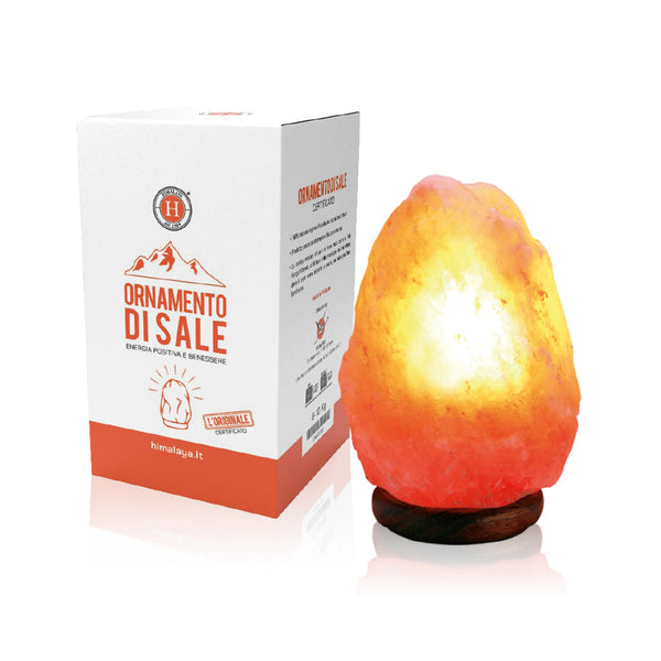 Lampada di Sale dell'Himalaya Rosa Artigianale a Forma di Pesce 3-4 kg 15W con L