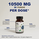 Estratti di funghi biologici - Maitake + Pleurotus in capsule