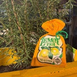 Cotton Bag - Lemon Tea
