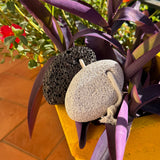 Pietra Pomice - White